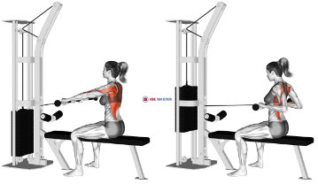Seated rowing machine, gym back exercises